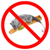 Possum Removal Wollert